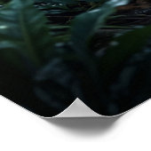 Crystal Panther Night Glow Poster (Hoek)