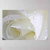 Crystal Rain Poster (Voorkant)