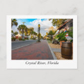 Crystal River Florida Briefkaart (Voorkant)