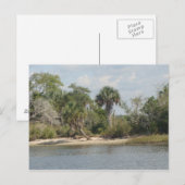 Crystal River Florida Briefkaart (Voorkant / Achterkant)