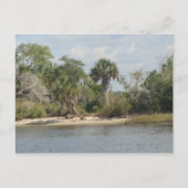Crystal River Florida Briefkaart (Voorkant)