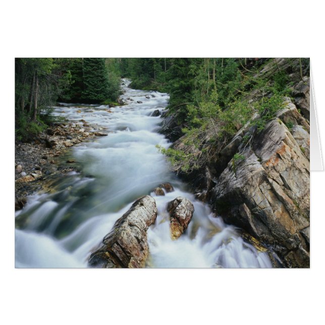 Crystal River, Gunnison National Forest, (Voorkant Horizontaal)