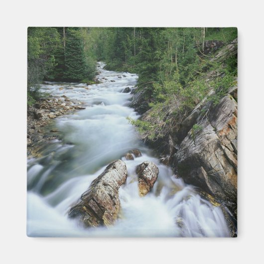 Crystal River, Gunnison National Forest, Magneet (Voorkant)