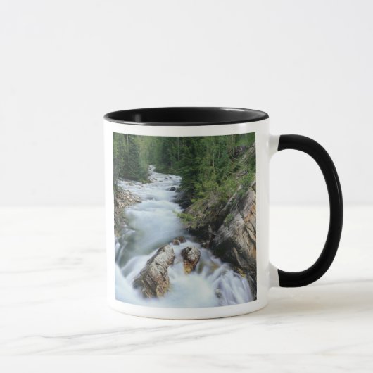 Crystal River, Gunnison National Forest, Mok (Rechts)