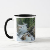 Crystal River, Gunnison National Forest, Mok (Links)