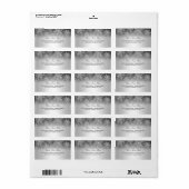 Crystal Sneeuwvlok Zilver Winter Adres Label (Full Sheet)