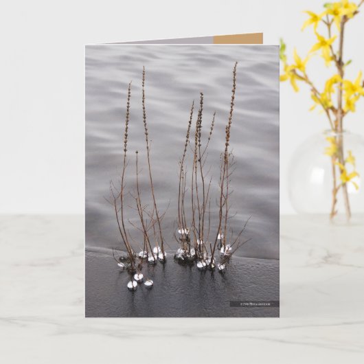 Crystaline Rand Kaart (Gele Bloem)