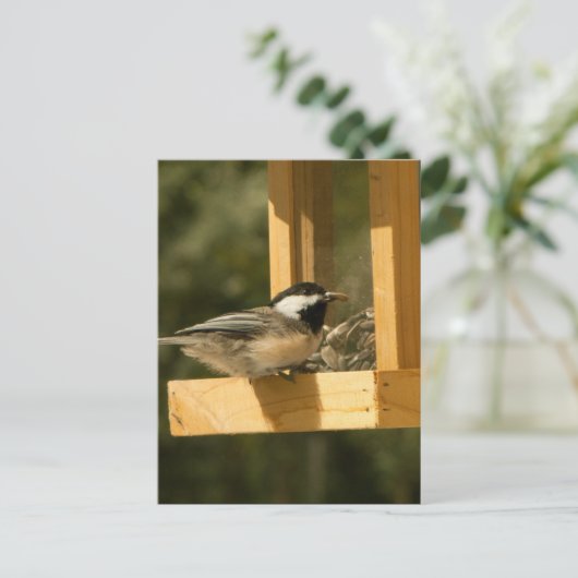 CSNA Chickadee Snacktime Briefkaart (Staand voorkant)