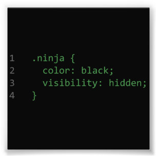 CSS-codering Ninja Foto Afdruk