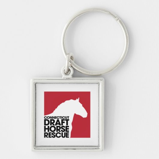 CT Concept Horse Rescue-knop sleutelhanger (Voorkant)