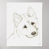 CT POSTER (Voorkant)