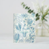 Ctenophorae Briefkaart (Staand voorkant)