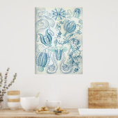 Ctenophorae Poster (Keuken)