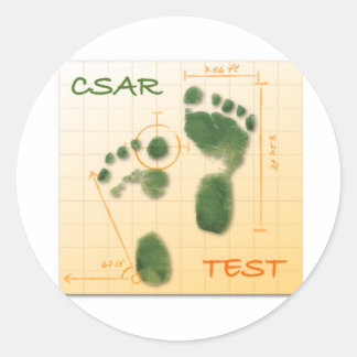 CTF FTE RONDE STICKER