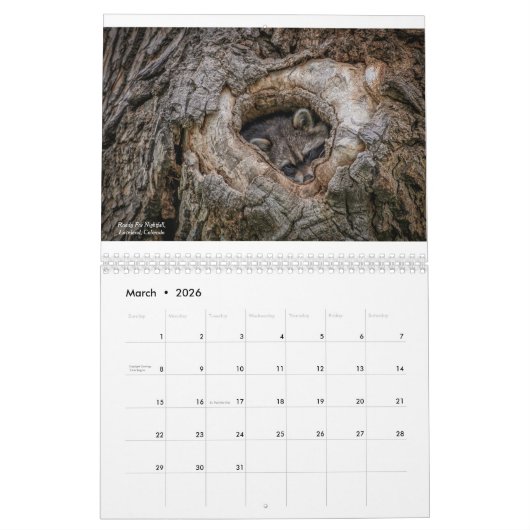 CTfotomagik 2020 wandkalender Kalender (Mar 2026)