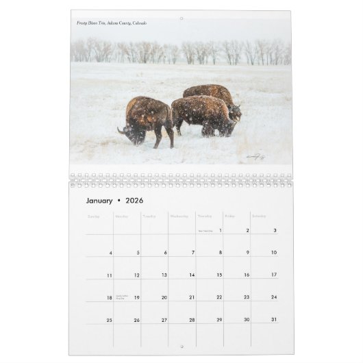CTfotomagik 2020 wandkalender Kalender (Jan 2026)