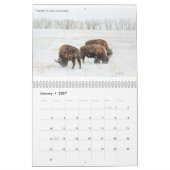 CTfotomagik 2020 wandkalender Kalender (Jan 2027)