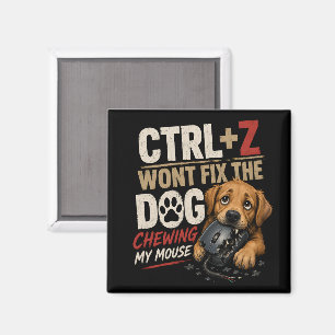 CTRL + Z Repareert Niet Mijn Muis Die Door De Hond Magneet