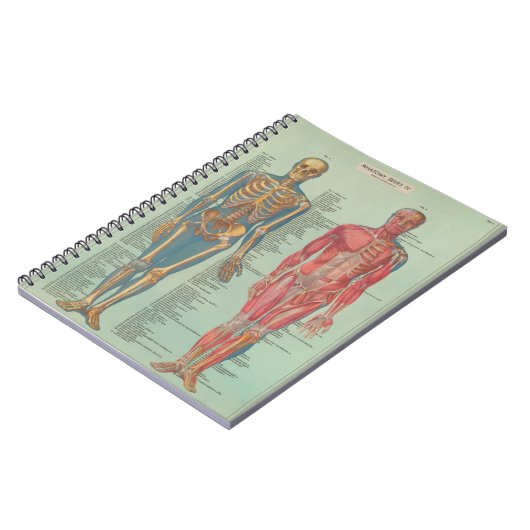 Cuaderno - Anatomía Notitieboek (Linkerzijde)