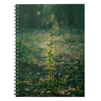 Cuaderno con fotografía de naturaleza notitieboek