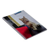 Cuaderno de fotos 16,5 x 22 cm; 80 paginas notitieboek (Rechterzijde)