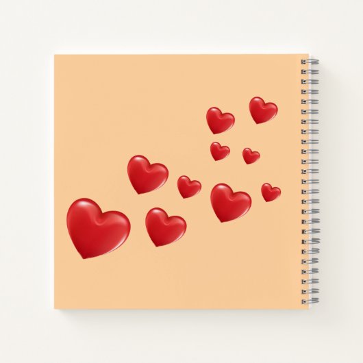 Cuaderno de gratitud notitieboek (Achterkant)