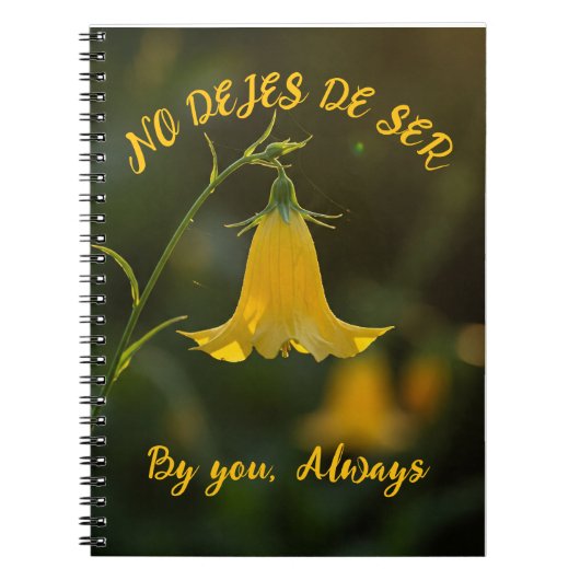 Cuaderno F.C.Amarilla Notitieboek (Voorkant)