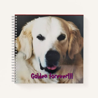 Cuaderno para amantes del Golden Retriever Notitieboek