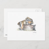 Cub slaapt briefkaart (Voorkant / Achterkant)