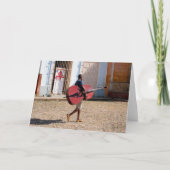 Cuba Chello Kaart (Voorkant)