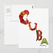 Cuba Chili Peppers Briefkaart (Voorkant / Achterkant)