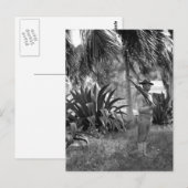 Cuba, Guantanamo Sentry onder palms_War Afbeelding Briefkaart (Voorkant / Achterkant)