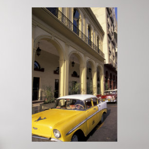Cuba, Havana. Colorful Chevy's from the 1950's Poster