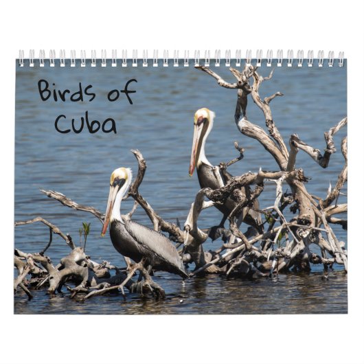 Cuba-kalender Kalender (Hoes)