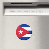 cuba magneet (Insitu (Vaatwasser))