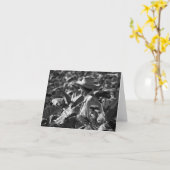 Cuba ving de Kaart van de Nota (Gele Bloem)