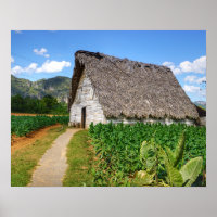 Cubaans Boerderij voor tabak en drooghuis