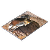 Cubaans gat notitieboek (Linkerzijde)