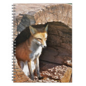 Cubaans gat notitieboek (Voorkant)