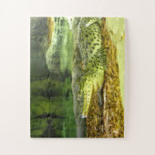 Cubaans krokodillendier legpuzzel (Verticaal)