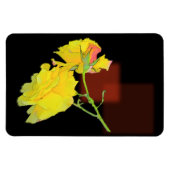 Cubaans Roos Magneet (Horizontaal)