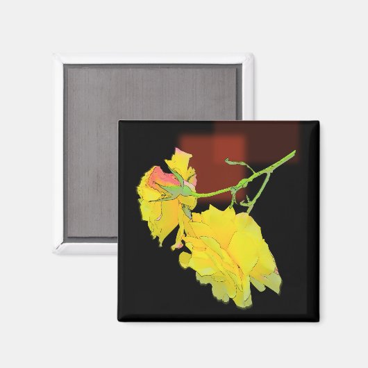 Cubaans Roos Magneet (Voorkant / Achterkant)