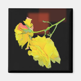 Cubaans Roos Magneet