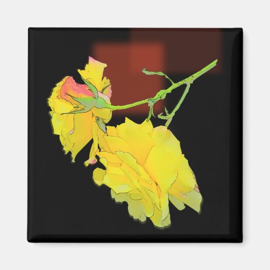 Cubaans Roos Magneet (Voorkant)