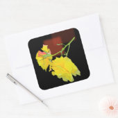 Cubaans Roos Vierkante Sticker (Envelop)