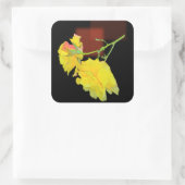 Cubaans Roos Vierkante Sticker (Tas)