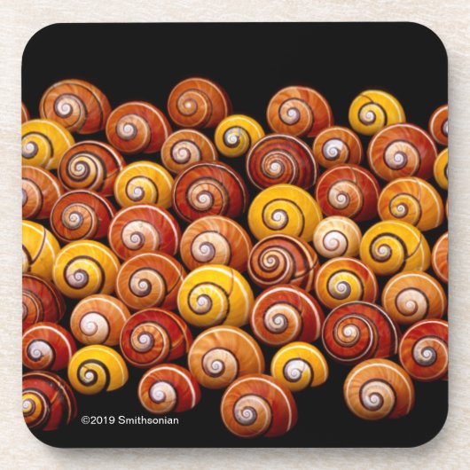 Cubaanse boomslakken bier onderzetter (Voorkant)