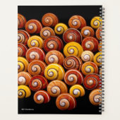 Cubaanse boomslakken planner (Achterkant)