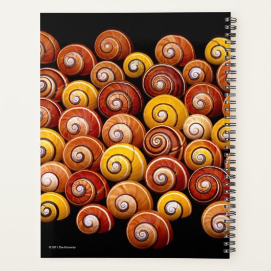 Cubaanse boomslakken planner (Achterkant)