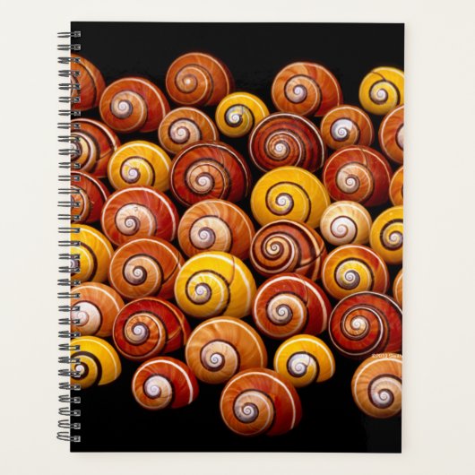 Cubaanse boomslakken planner (Voorkant)